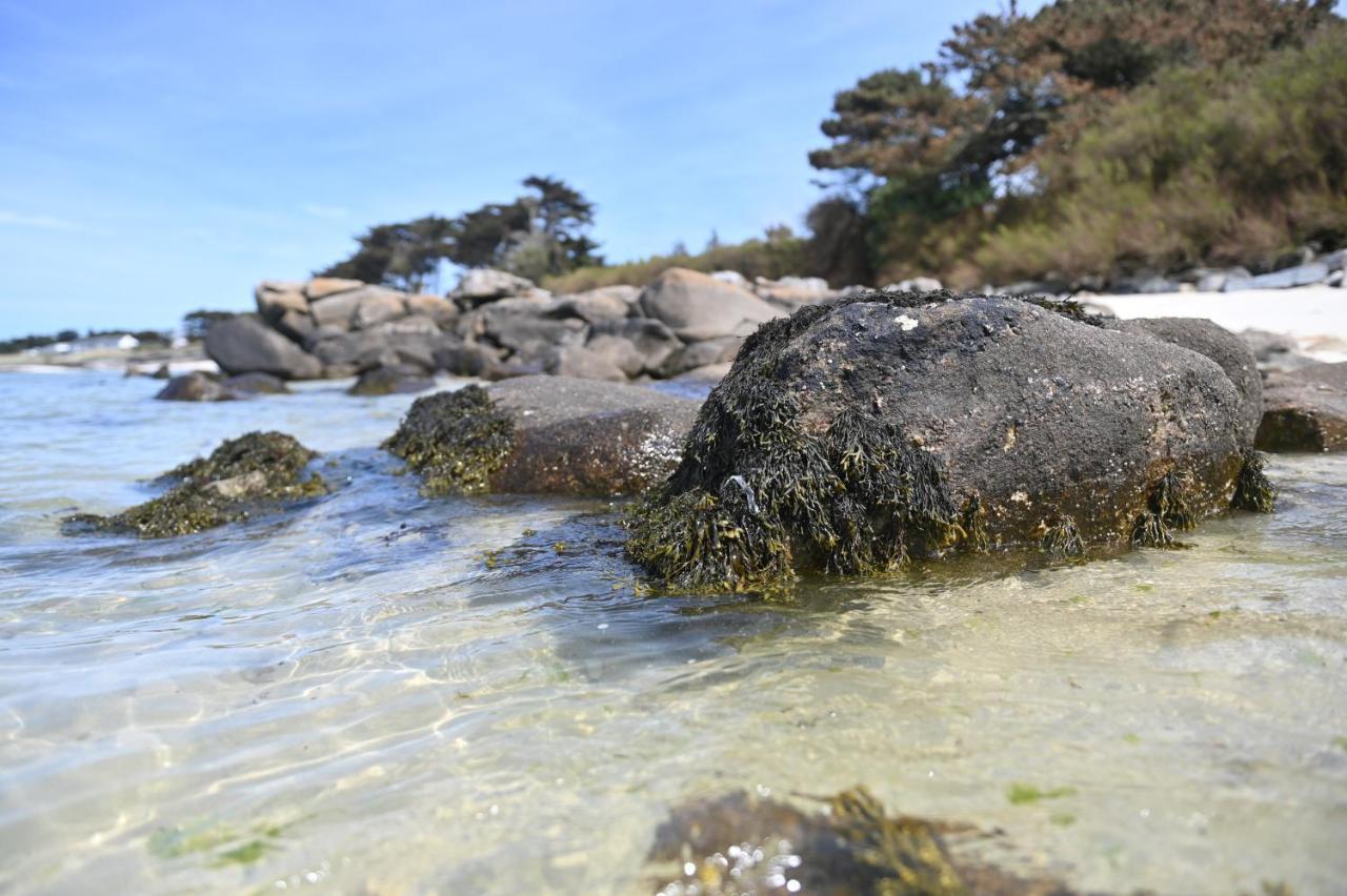 Entre Terre Et Mer Plougoulm 外观 照片